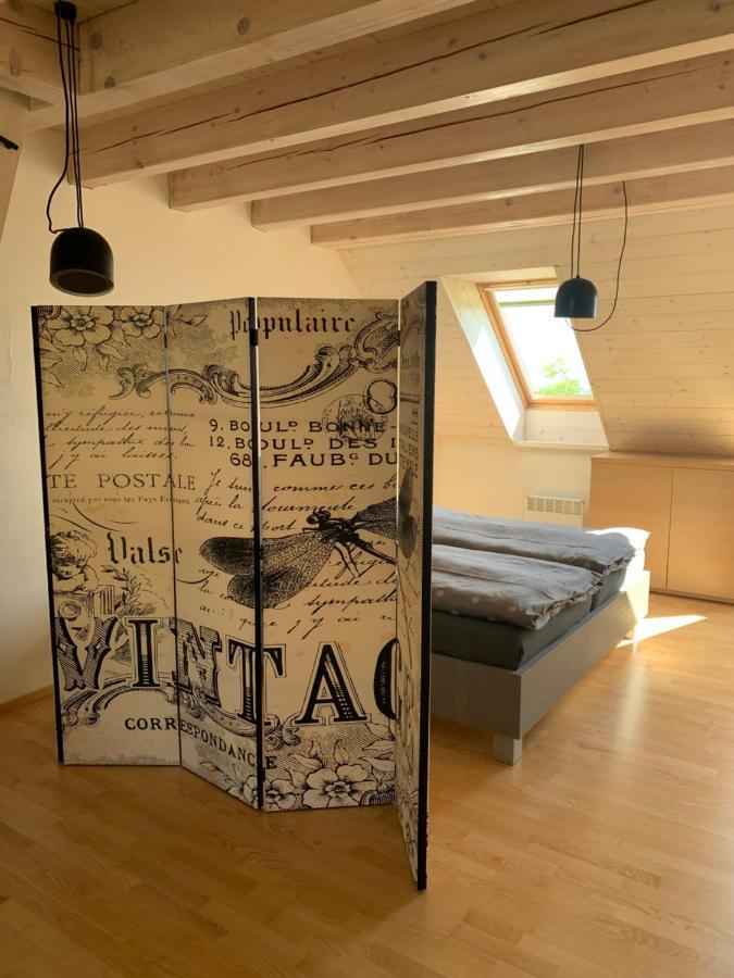 פבלוב Dovolena Bez Starosti - Apartman U Venuse מראה חיצוני תמונה