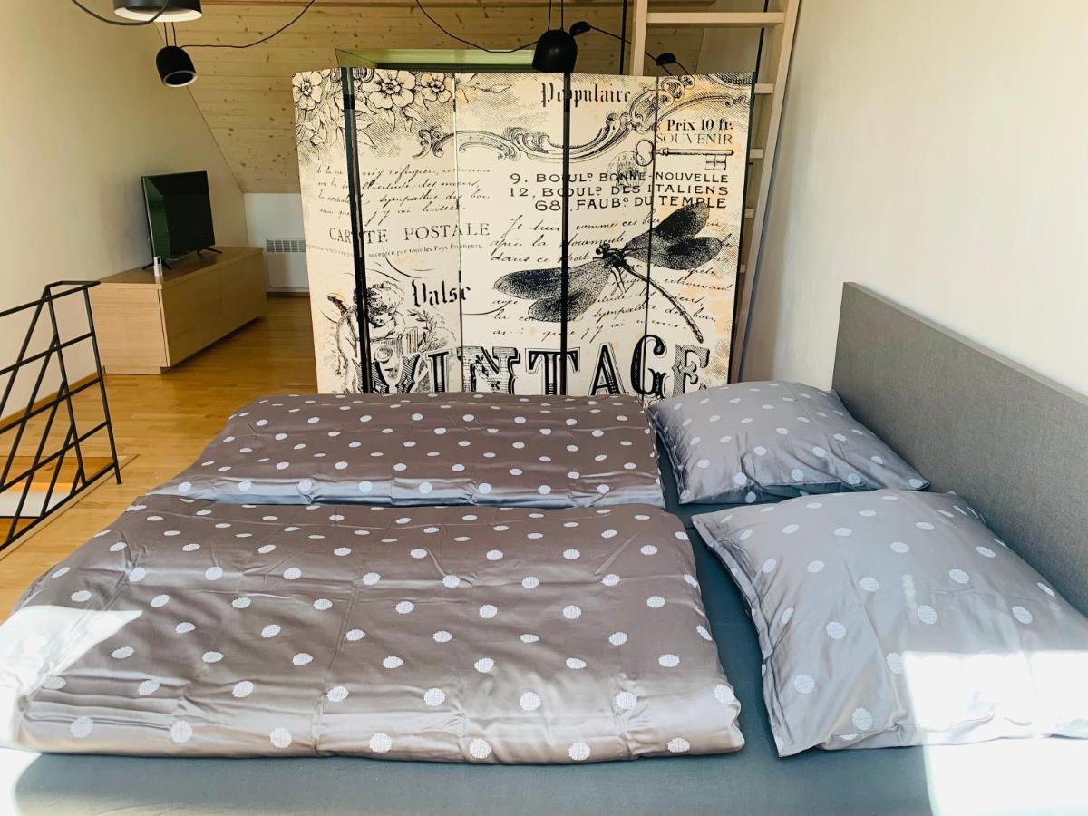 פבלוב Dovolena Bez Starosti - Apartman U Venuse מראה חיצוני תמונה