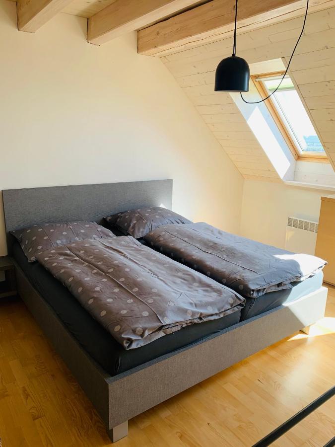 פבלוב Dovolena Bez Starosti - Apartman U Venuse מראה חיצוני תמונה